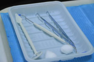 無套路洗牙新體驗 9.9元守護口腔健康，專業護理觸手可及